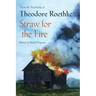 Straw for the Fire: From the Notebooks of Theodore Roethke 1943-63