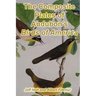 The Composite Plates of Audubon's Birds of America