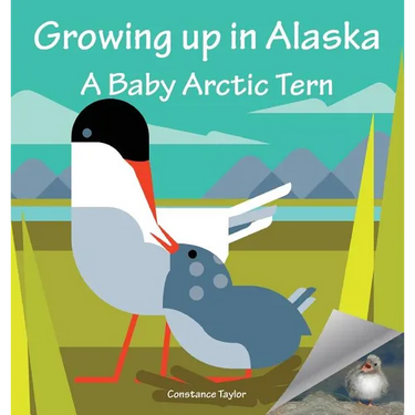 Growing Up in Alaska: A Baby Arctic Tern