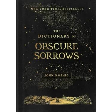The Dictionary of Obscure Sorrows