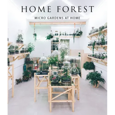 Home Forest: Micro Home Gardens