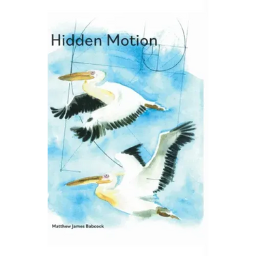 Hidden Motion