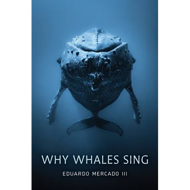 Why Whales Sing