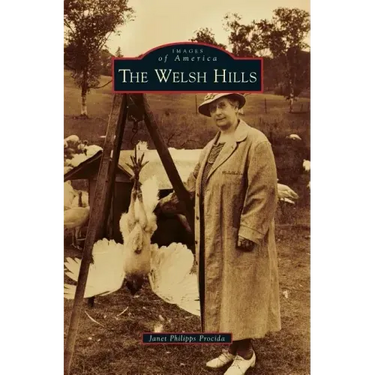Welsh Hills