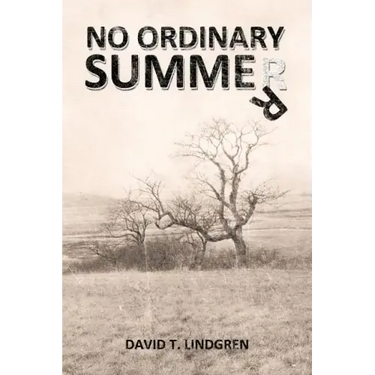 No Ordinary Summer