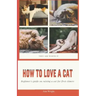 How to Love a Cat: Beginner's Guide on Raising a Cat for First Timers