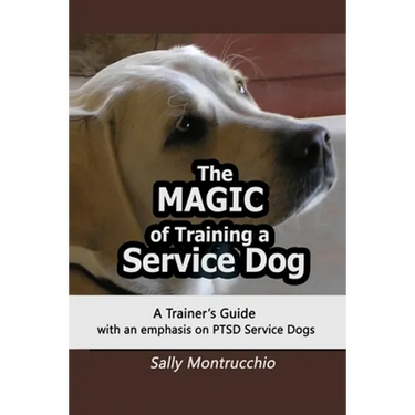 The Magic of Training a Service Dog