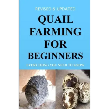 Quail Farming For Beginners: Everything You Need To Know (Revised And Updated)