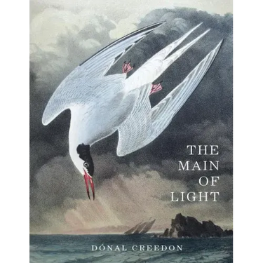 The Main Of Light: Common Ground and Dividing Lines in the Teachings of Jiddu Krishnamurti and Buddhism