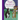 Frank and the Masked Cat: Book 2