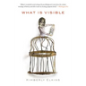 What Is Visible