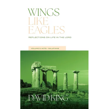 Wings Like Eagles: Reflections on Life in the Lord Vol. 5: Acts-Galatians