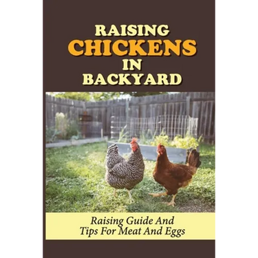 Raising Chickens In Backyard: Raising Guide And Tips For Meat And Eggs: Raising Chickens For Eggs