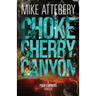 Chokecherry Canyon