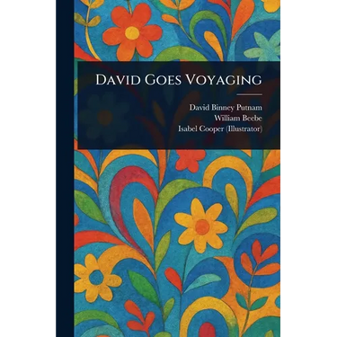 David Goes Voyaging