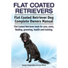 Flat Coated Retrievers. Flat Coated Retriever Dog Complete Owners Manual. Flat Coated Retriever book for care, costs, feeding, grooming, health and tr