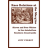 Race Relations at the Margins: Slaves and Poor Whites in the Antebellum Southern Countryside