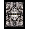 Son of Man: Retelling the Stories of Jesus