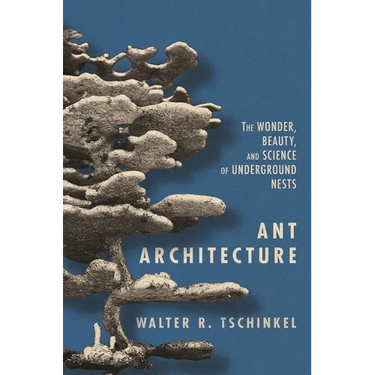 Ant Architecture: The Wonder, Beauty, and Science of Underground Nests
