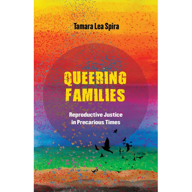 Queering Families: Reproductive Justice in Precarious Times Volume 12