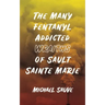 The Many Fentanyl Addicted Wraiths of Sault Sainte Marie