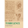 Turbulence