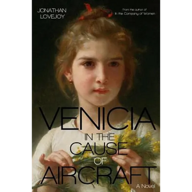 Venicia in the Cause of Aircraft