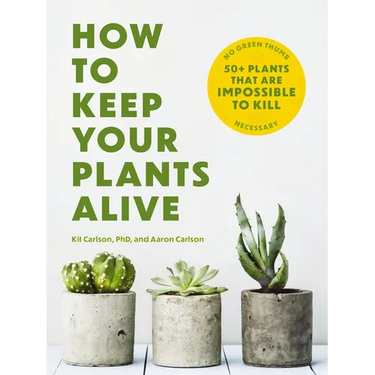 How to Keep Your Plants Alive: 50 Plants That Are Impossible to Kill