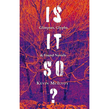 Is It So?: Glimpses, Glyphs, & Found Novels