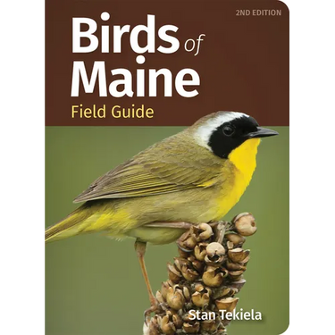 Birds of Maine Field Guide