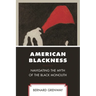 American Blackness: Navigating the Myth of the Black Monolith
