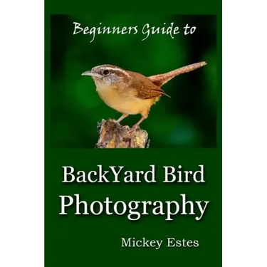 Beginners Guide To Backyard Bird Photography