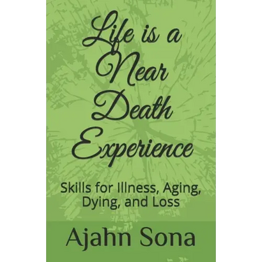 Life is a Near Death Experience: Skills for Illness, Aging, Dying, and Loss