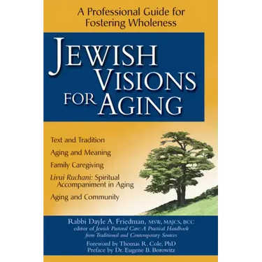 Jewish Visions for Aging: A Professional Guide for Fostering Wholeness
