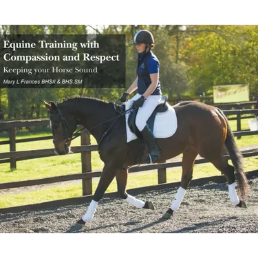 Equine Training with Compassion and Respect: Keeping your Horse Sound