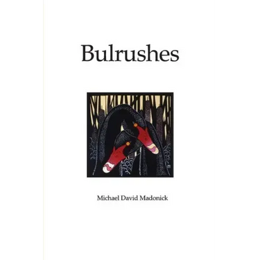 Bulrushes