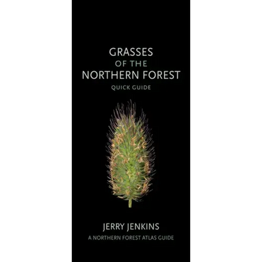 Grasses of the Northern Forest: Quick Guide