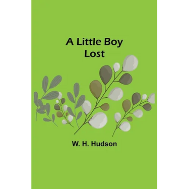 A Little Boy Lost