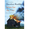 Straw for the Fire: From the Notebooks of Theodore Roethke 1943-63
