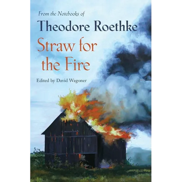 Straw for the Fire: From the Notebooks of Theodore Roethke 1943-63