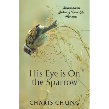 His Eye Is on the Sparrow: Inspirational Stories of Real Life Miracles