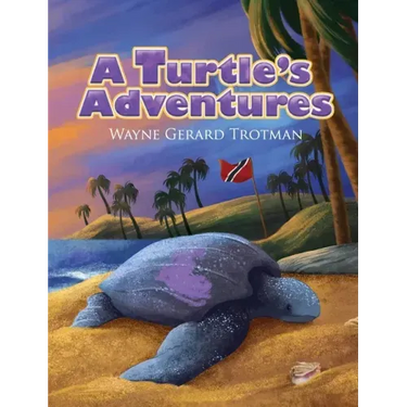 A Turtle's Adventures