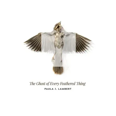The Ghost of Every Feathered Thing