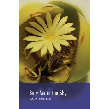 Bury Me in the Sky