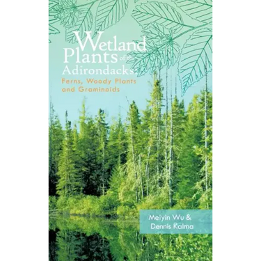Wetland Plants of the Adirondacks: Ferns, Woody Plants, and Graminoids