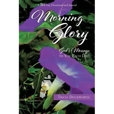 Morning Glory