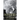 Phantastes (150th Anniversary Edition)