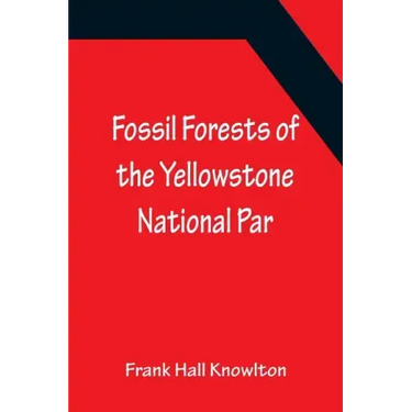 Fossil Forests of the Yellowstone National Par