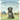 Pippin's Paw Prints: From Southern Roots to Northern Exposure