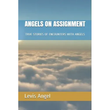 Angels on Assignment: True Stories of Encounters with Angels